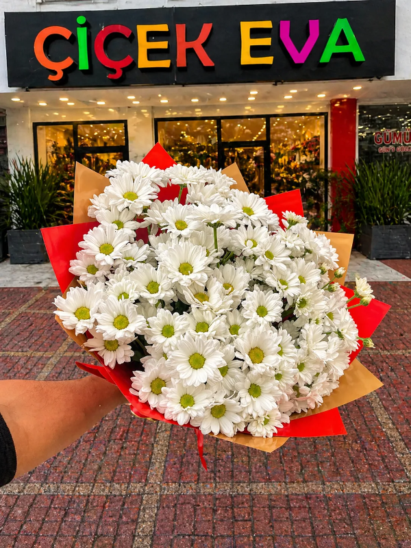 Antalya Çiçekçi - Beyaz Papatya Buketi